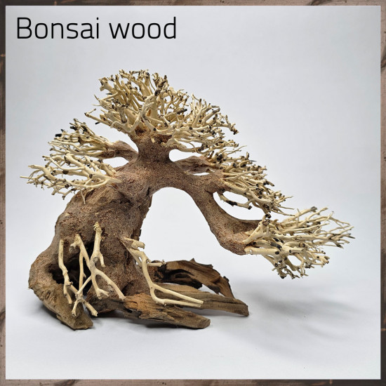 خشب من النوع Bonsai wood مجسم رقم 8