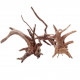 خشب متحجر من النوع Driftwood حجم M ( معالج ) خشب متحجر من النوع Driftwood حجم M ( معالج )