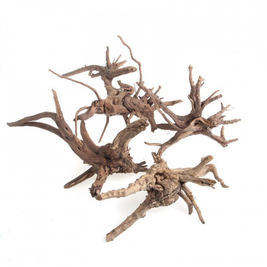 خشب متحجر من النوع Driftwood حجم S ( معالج )