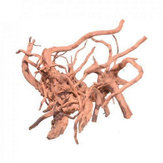 خشب متحجر من النوع Driftwood حجم L (معالج) خشب متحجر من النوع Driftwood حجم L (معالج)