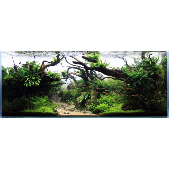 خشب متحجر من النوع Driftwood حجم L (معالج) خشب متحجر من النوع Driftwood حجم L (معالج)