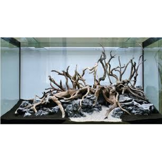 خشب متحجر من النوع Driftwood حجم S ( معالج )