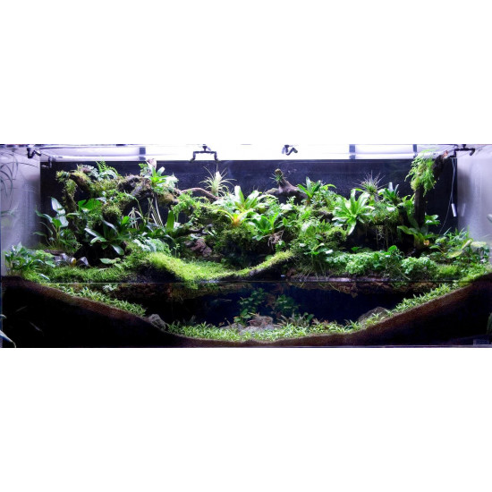 حوض زجاجي بولداريوم حجم 120x50x22 سم - PALUDARIUM Tank