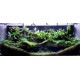 حوض زجاجي بولداريوم حجم 120x50x22 سم - PALUDARIUM Tank