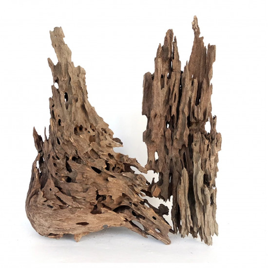 خشب مجوف مفرغ طبيعياً لربيان والأسماك الصغيرة والكبيرة - honeycomb-like Wood خشب مجوف مفرغ طبيعياً لربيان والأسماك الصغيرة والكبيرة - honeycomb-like Wood