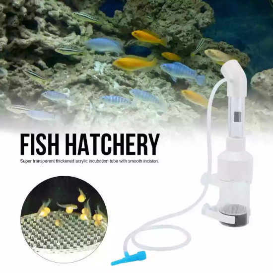 أداة تفريخ بيض الأسماك حجم وسط وكبير - Brine fish incubator