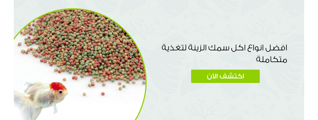 افضل انواع اكل سمك الزينة لتغذية متكاملة