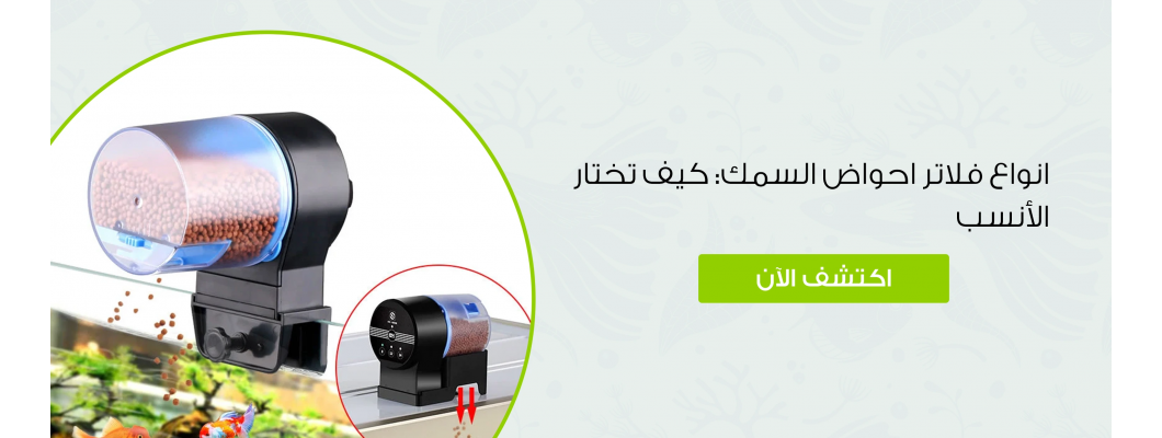 انواع فلاتر احواض السمك: كيف تختار الأنسب
