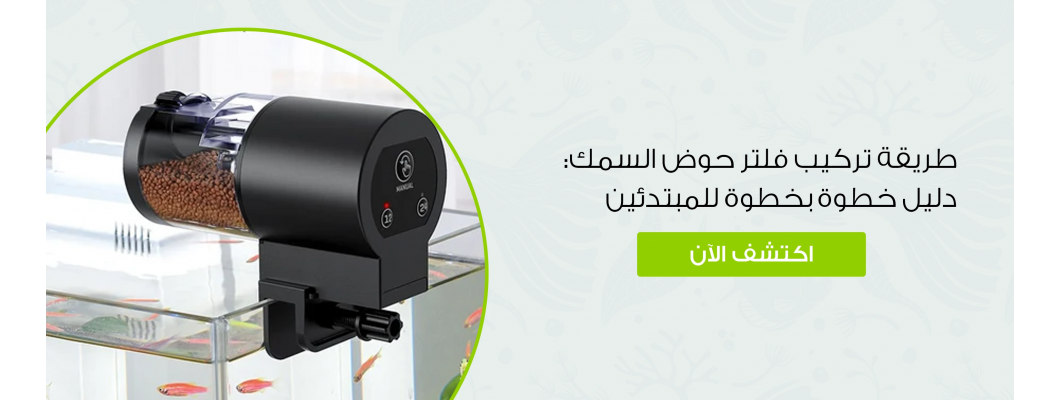 طريقة تركيب فلتر حوض السمك: دليل خطوة بخطوة للمبتدئين