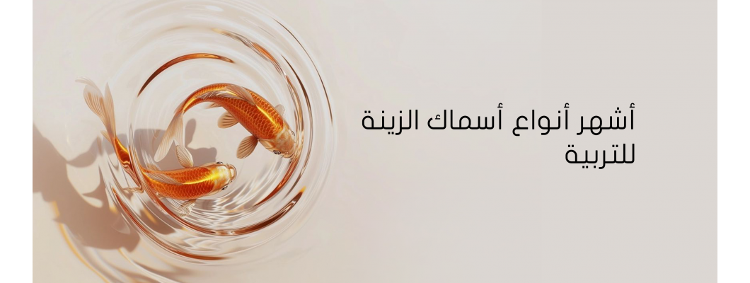 أشهر أنواع أسماك الزينة للتربية