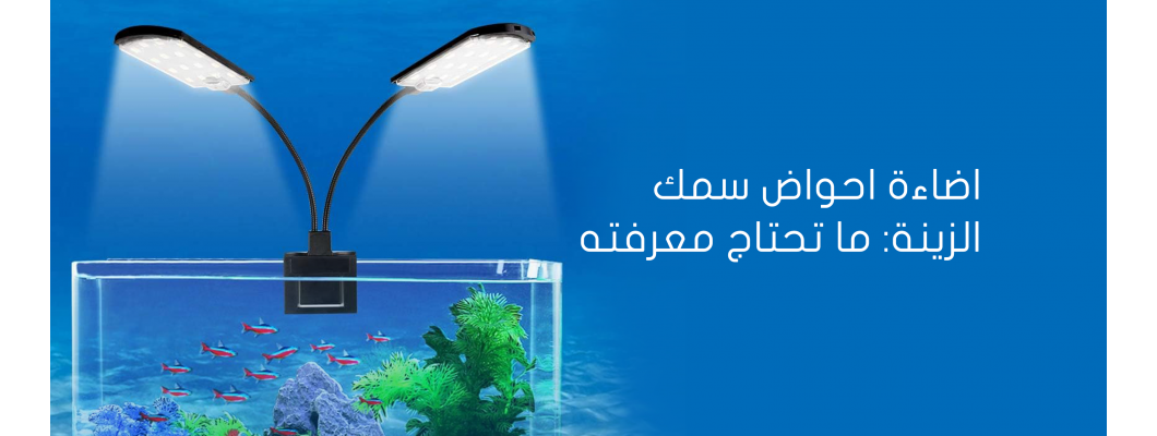 اضاءة احواض سمك الزينة: ما تحتاج معرفته