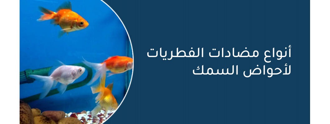 أنواع مضادات الفطريات لأحواض السمك