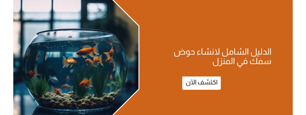الدليل الشامل لانشاء حوض سمك في المنزل الدليل الشامل لانشاء حوض سمك في المنزل