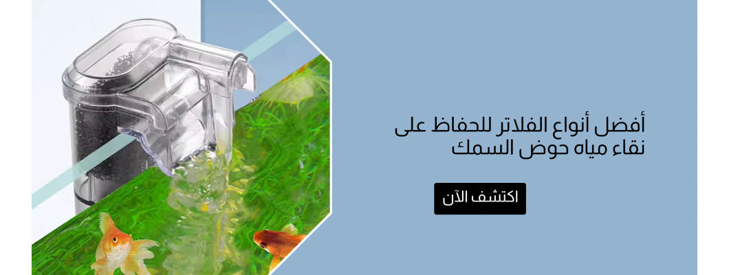 أفضل أنواع الفلاتر للحفاظ على نقاء مياه حوض السمك أفضل أنواع الفلاتر للحفاظ على نقاء مياه حوض السمك