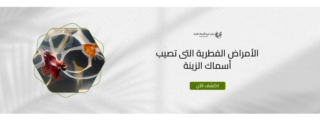 الأمراض الفطرية التى تصيب أسماك الزينة