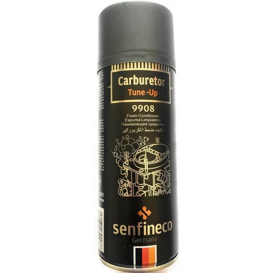 SENFINECO CARBURETOR TUNE-UP 9908