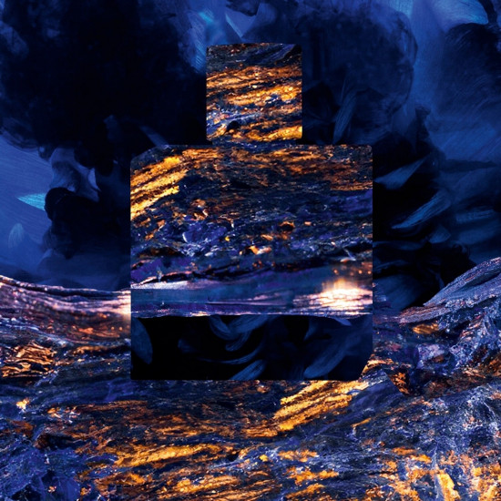 شانيل بلو دو شانيل لا إكسكلوسيف برفيوم 100 مل شانيل بلو دو شانيل لا إكسكلوسيف برفيوم 100 مل