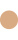 N55 DARK BEIGE  