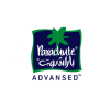 باراشوت | parachuute