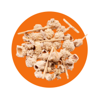 قسم الاعشاب وعطارة