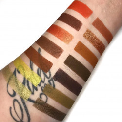 باليت ١٥ ت من مورفي