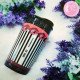 كوب من كوليكشن anna sui
