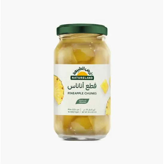 قطع الاناناس العضوي 355جم عضوي خالي من الجلوتين ارض الطبيعة قطع الاناناس العضوي 355جم عضوي خالي من الجلوتين ارض الطبيعة