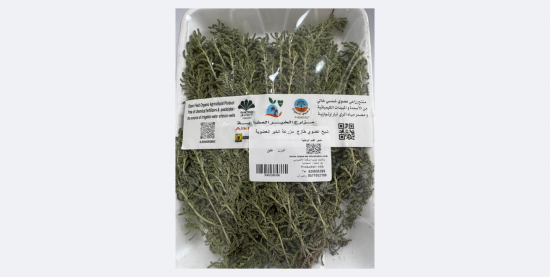شيح طازج عضوي طبق مزرعه الخير