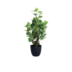 مركن شجر 50 سم مركن شجر 50 سم