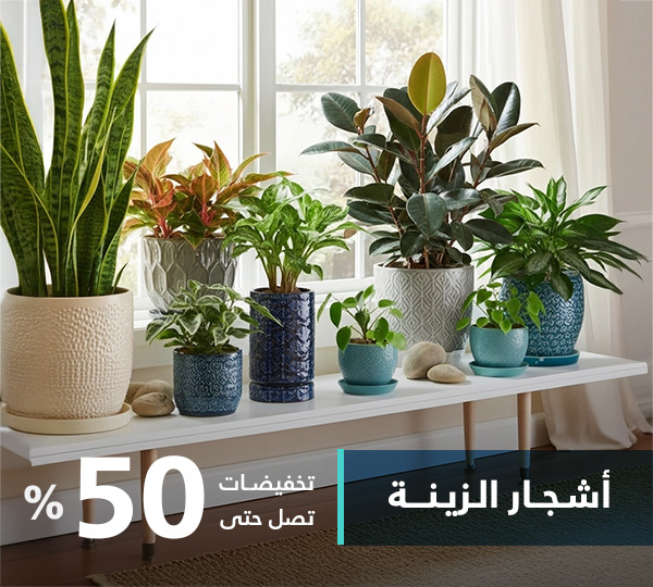زهور ونباتات صناعية