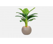 زهور ونباتات صناعية