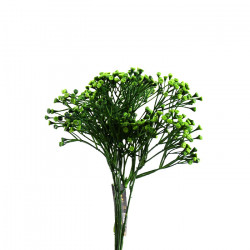 عود ورد 30 سم عود ورد 30 سم