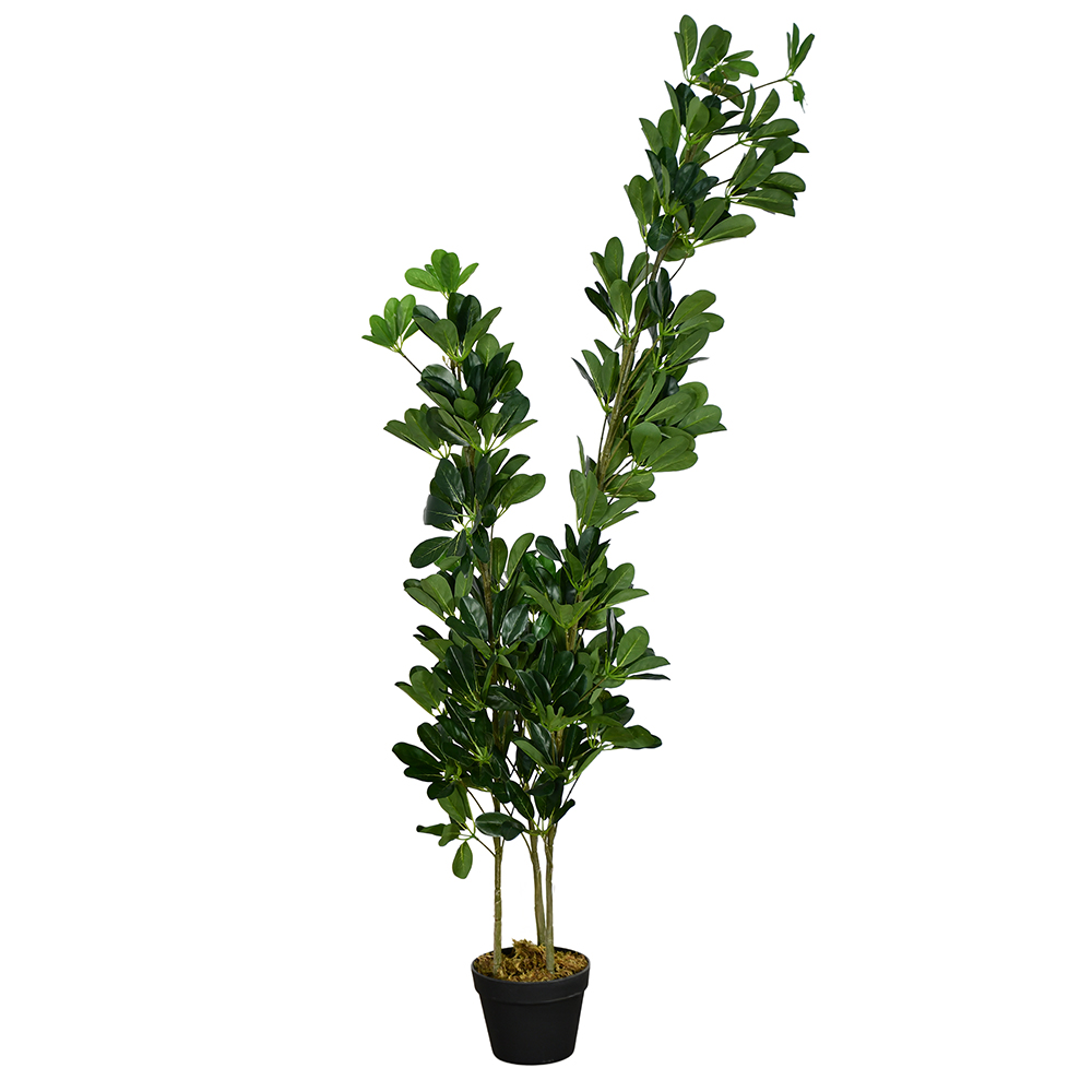 مركن شجر بتصميم طبيعي