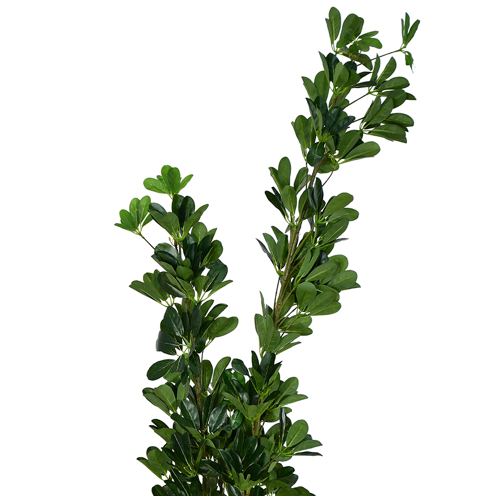 مركن شجر بتصميم طبيعي