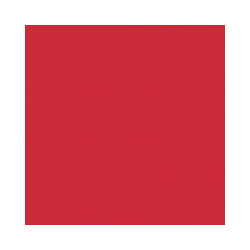 Background Paper Rolls 2x11m Scarlet