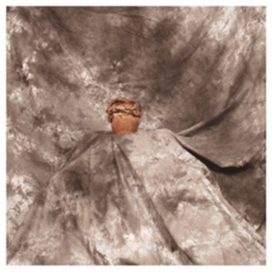 Cotton Muslin Seamless Backdrop Photography Backdrops Photo Studio Background