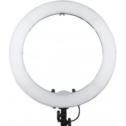 Ring Light LED 18 Inches Dual Color Ring Light LED 18 Inches Dual Color