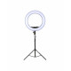 Godox LR160 Black Led Ring Light with Make Up Mirror Bi-color 3300-8000K 18W Video Selfie Makeup Fill Lighting Live Shooting Godox LR160 Black Led Ring Light with Make Up Mirror Bi-color 3300-8000K 18W Video Selfie Makeup Fill Lighting Live Shooting