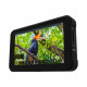 Atomos ATOMSHBH01 Shinobi 5.2" 4K HDMI Monitor