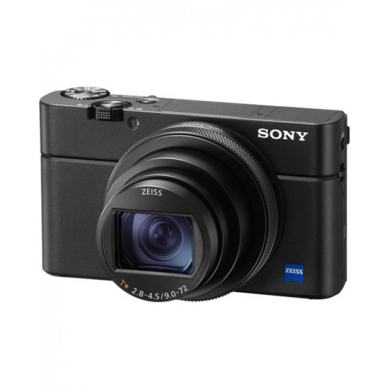 Sony Cyber-Shot DSC-RX100M6 Compact Digital Camera