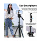 Ulanzi MT-65 Horizontal and Vertical Video Tripod, Arca Type Biscuit and Remote Control for SLR Cameras