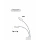 2in1 Card Reader Type-C Lightning to TF/SD Card Micro Camera Reader OTG Adapter Cable