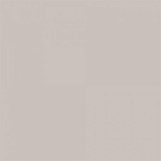 Background Paper Rolls 2.72x11m Dull Aluminum