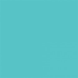 Background Paper Rolls 2.72x11m Alpine