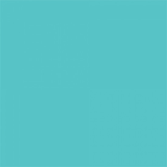 Background Paper Rolls 2.72x11m Alpine