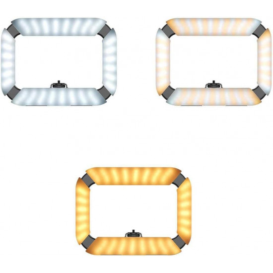 Ulanzi U200 Ring Light Video Rig