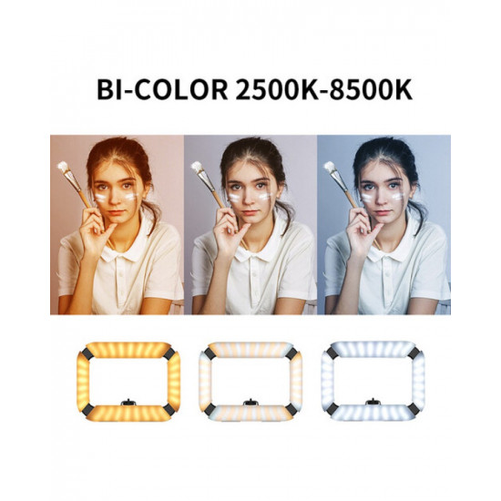 Ulanzi U200 Ring Light Video Rig