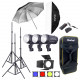 NiceFoto Mini Studio Flash Kit KT-TB502 (TB300-300W) NiceFoto Mini Studio Flash Kit KT-TB502 (TB300-300W)