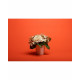 Background Paper Rolls 1.36x11mm Orange