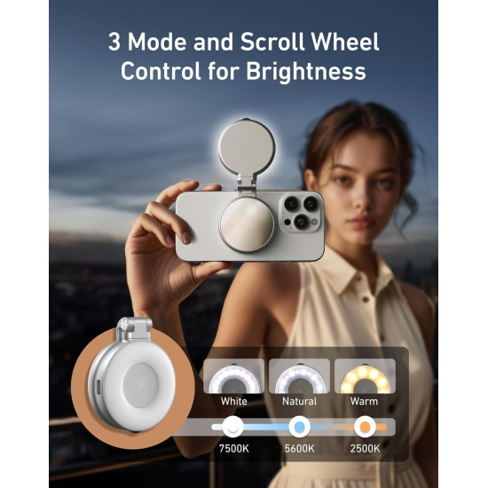 TELESIN C03 Magnetic Selfie Ring Light